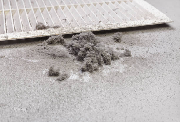 Air Duct Mold Removal in New Carrollton, MD